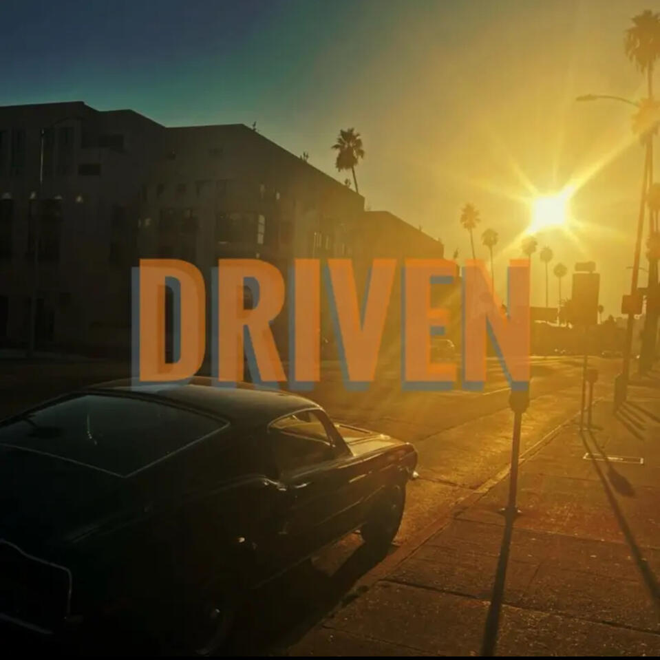 BHUDDIST.P.I.G - DRIVEN (Rec/Mix/Master/Produce)